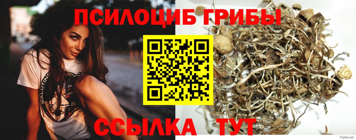 Копейск  Псилоцибиновые грибы ЛСД  Вход с VPN  купить   Галлюциногенные грибы прущие грибы 